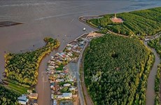 WWF помогает районам дельты Меконга адаптироваться к изменению климата