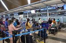 Vietnam Airlines увеличивают частоту рейсов в связи с ажиотажем в конце года