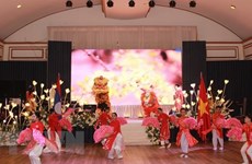 Вьетнамцы в Лаосе присоединяются к встрече перед праздником Тэт