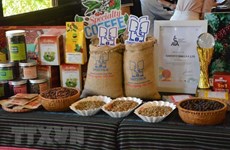 Буонматхуот стремится стать мировым кофейным городом