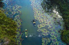 Всемирный день водно-болотных угодий 2023 года будет отмечаться во Вьетнаме различными мероприятиями