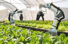 Наука, технологии и инновации обеспечат более 50% роста сельского хозяйства к 2030 году