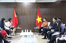 МИД: Вьетнам поможет Тимору-Лешти вскоре стать официальным членом АСЕАН