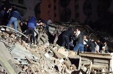 Посольство Вьетнама выясняет информацию о гражданах, пострадавших в землетрясения в Турции