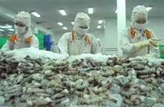 Баклиеу планирует экспортировать креветки на 1 млрд. долл. США