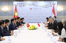 Эксперт Национального университета Сингапура: отношения Вьетнама и Сингапура связывают страны с АСЕАН