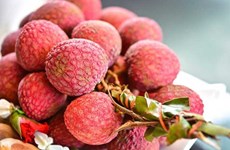 Вьетнамские фрукты занимают львиную долю на австралийском рынке