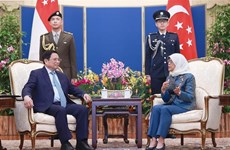 Премьер-министр Фам Минь Тьинь совершил встречу с президентом Сингапура