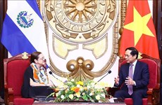 Министр Буй Тхань Шон приветствовал открытие Посольство Сальвадора во Вьетнаме