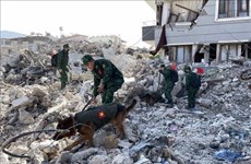 Правительство Вьетнама поддерживает Турцию и Сирию в преодолении последствий землетрясения