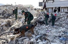 Вьетнамские спасатели нашли в Турции еще больше жертв землетрясения