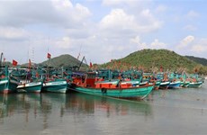 Вьетнам издает план действий и стремится положить конец ННН-промыслу