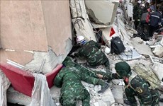 Вьетнам поддерживает спасательную работу в Турции и Сирии – Вьетнамские спасатели получили международное признание