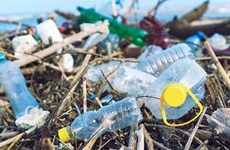 Запуск проекта по сокращению пластиковых отходов в сфере туризма