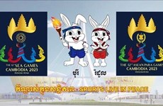 Звезды вьетнамского футбола не cмогут присоединиться к SEA Games 32 из-за новых правил