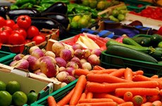 Инсайдеры уверены, что заработают 4 млрд. долл. США на экспорте фруктов и овощей