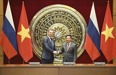 РФ является одним из ведущих и приоритетных партнеров во внешней политике Вьетнама