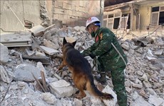 Вьетнамские спасатели обнаружили еще двух жертв землетрясения в Турции