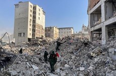 Спасательная команда Вьетнама обнаружила 15 мест с жертвами землетрясения в Турции