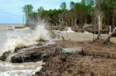 Вторжение соленой воды в устья Меконга, по прогнозам, увеличится в марте