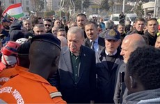 Президент Турции лично поблагодарил вьетнамских спасателей