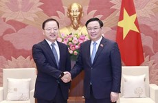 Председатель Национального Собрания Выонг Динь Хюэ принял генерального финансового директора Samsung Electronics