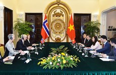 9-я Вьетнамско-норвежская политическая консультация