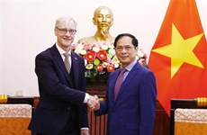 Министр иностранных дел Буй Тхань Шон принял государственного секретаря Норвегии по иностранным делам