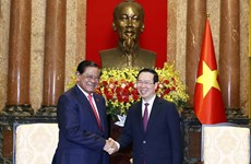 Президент Во Ван Тхыонг принял вице-премьера Камбоджи,  находящегося во Вьетнаме с визитом