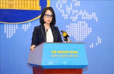 МИД: Вьетнам приветствует рассмотрение Россией упрощения виз для вьетнамских граждан