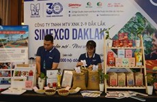 Фестиваль кофе Буонматхуат: Зафиксирован рекорд «Самая большая коробка растворимого кофе во Вьетнаме»