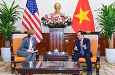 Министр иностранных дел Буй Тхань Шон принял генерального директора USAID