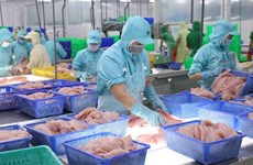 Прогноз: экспорт пангасиуса восстановится после третьего квартала