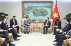 Вице-премьер просит хорошо организовать мероприятия по празднованию 50-летия установления дипломатических отношений между Вьетнамом и Австралией