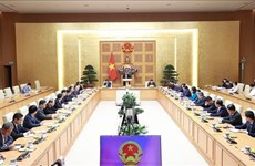 Премьер-министр встретился с руководителями вьетнамских представительств за рубежом