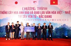 Мероприятие по культурному обмену между Вьетнамом и Японией, организованное в Бакжанге