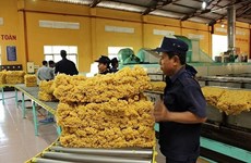 Вьетнам – четвертый по величине поставщик каучука в РК