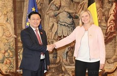 Вьетнам и Бельгия поддерживают плодотворные 50-летние связи