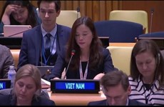 Вьетнам призывает к усилиям по защите водной инфраструктуры для гражданского населения в условиях вооруженных конфликтов