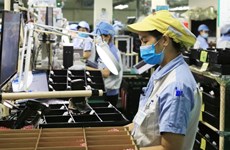 Иностранные МСП вливают капитал во Вьетнам