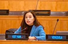 Вьетнам подчеркивает право на использование ядерной энергии и космического пространства в мирных целях