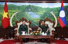 Вьетнам и Лаос укрепляют оборонное сотрудничество
