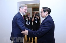 По случаю официального визита премьер-министра Чехии во Вьетнам: придание нового импульса традиционным отношениям дружбы и сотрудничества
