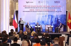 Бизнес-форум Вьетнам - Чехия