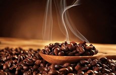 Повышение престижности и ценности вьетнамского кофе