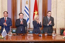 Председатель НС завершил свои визиты на Кубу, в Аргентину и Уругвай