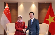 Президент Во Ван Тхыонг имел встречу с сингапурским коллегой в Великобритании