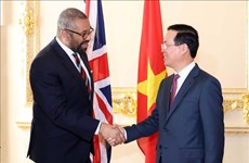 Президент Во Ван Тхыонг принимает британских и кубинских лидеров