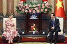 Президент государства Во Ван Тхыонг принял королеву Бельгии и почетного президента отделения ЮНИСЕФ в Бельгии