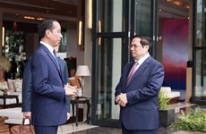 42-й саммит АСЕАН: премьер-министр Фам Минь Тьинь встретился с президентом Индонезии Джоко Видодо